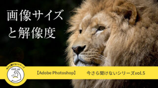 【2024Adobe Photoshop保存版】画像サイズと解像度の基礎まとめ
